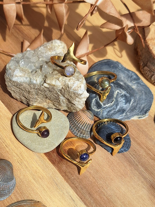 Fingerring mit Walfluke17